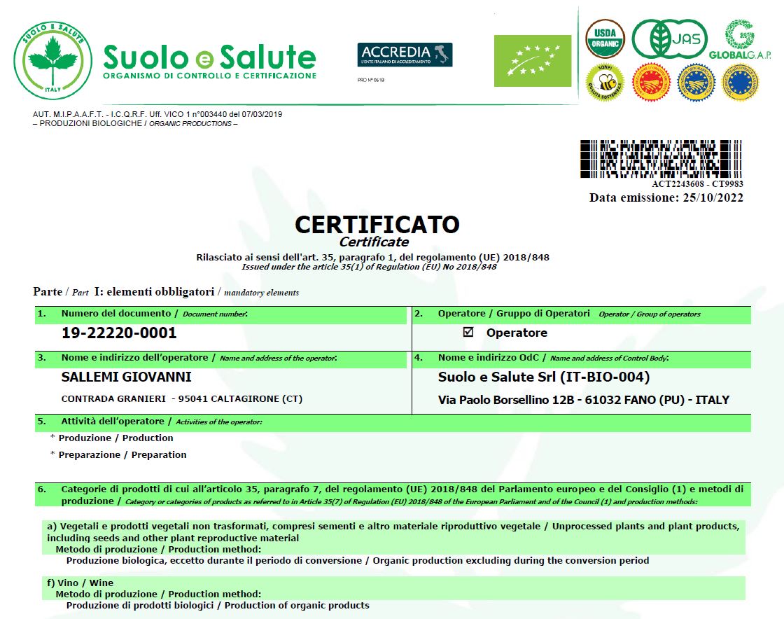 certificato grande